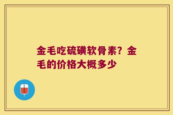 金毛吃硫磺软骨素?金毛的价格大概多少 金毛吃硫磺软骨素?金毛的价格大概多少