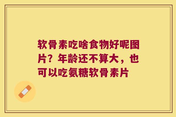 软骨素吃啥食物好呢图片?年龄还不算大,也可以吃氨糖软骨素片