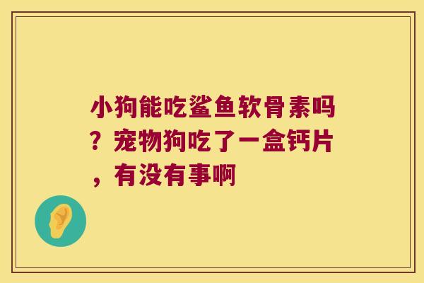 小狗能吃鲨鱼软骨素吗?宠物狗吃了一盒钙片,有没有事啊