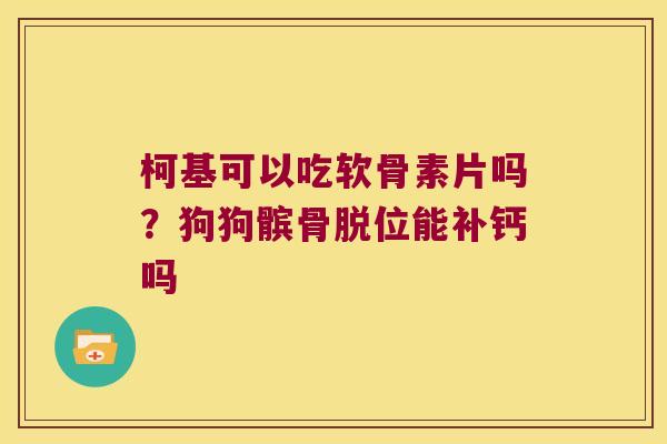 柯基可以吃软骨素片吗?狗狗髌骨脱位能补钙吗