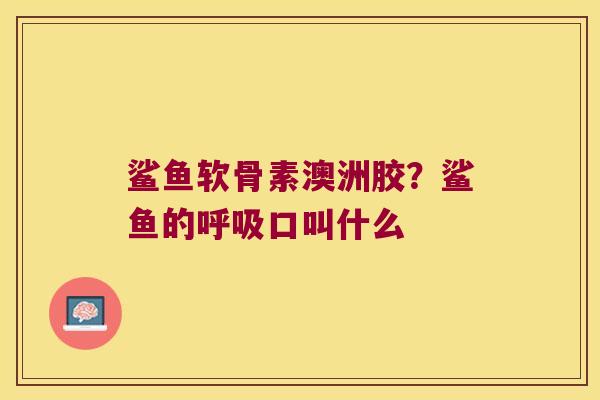 鲨鱼软骨素澳洲胶?鲨鱼的呼吸口叫什么