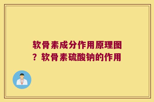 软骨素成分作用原理图?软骨素硫酸钠的作用
