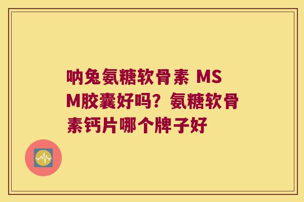 呐兔氨糖软骨素 MSM胶囊好吗?氨糖软骨素钙片哪个牌子好