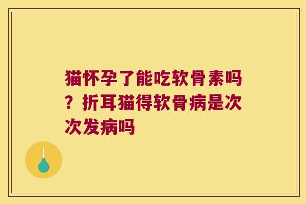 猫怀孕了能吃软骨素吗?折耳猫得软骨病是次次发病吗