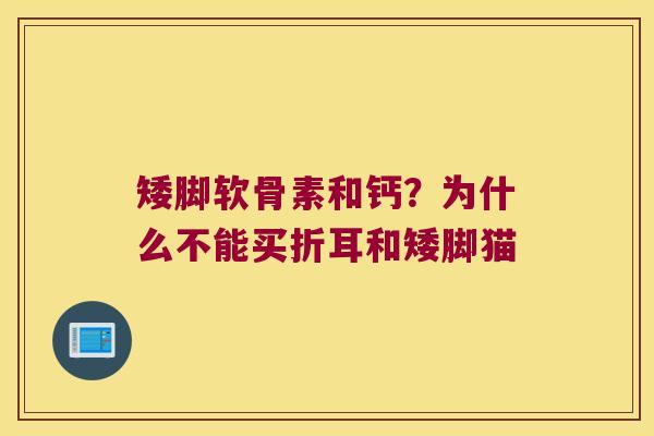矮脚软骨素和钙?为什么不能买折耳和矮脚猫