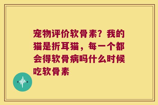 宠物评价软骨素?我的猫是折耳猫,每一个都会得软骨病吗什么时候吃软骨素