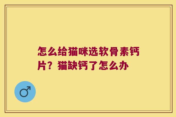 怎么给猫咪选软骨素钙片?猫缺钙了怎么办