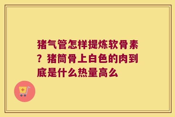 猪气管怎样提炼软骨素?猪筒骨上白色的肉到底是什么热量高么