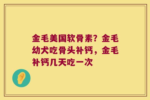 金毛美国软骨素?金毛幼犬吃骨头补钙,金毛补钙几天吃一次