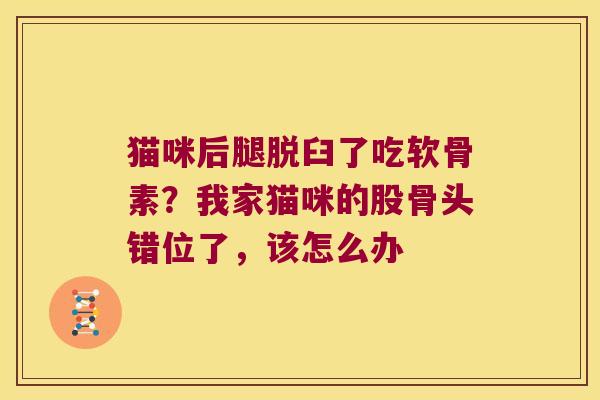 猫咪后腿脱臼了吃软骨素?我家猫咪的股骨头错位了,该怎么办