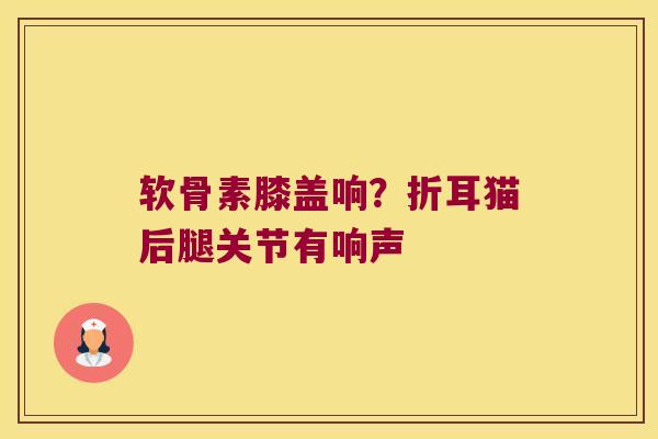 软骨素膝盖响?折耳猫后腿关节有响声