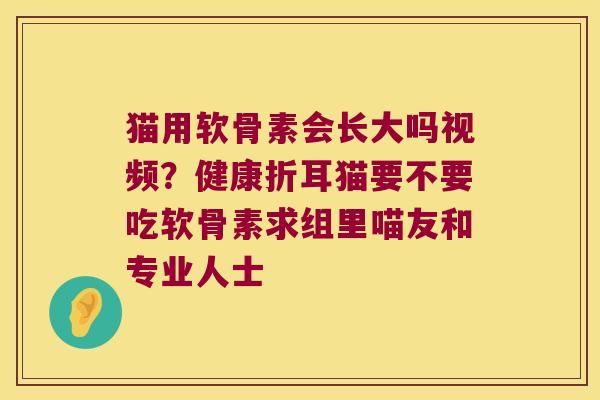 猫用软骨素会长大吗视频?健康折耳猫要不要吃软骨素求组里喵友和专业人士