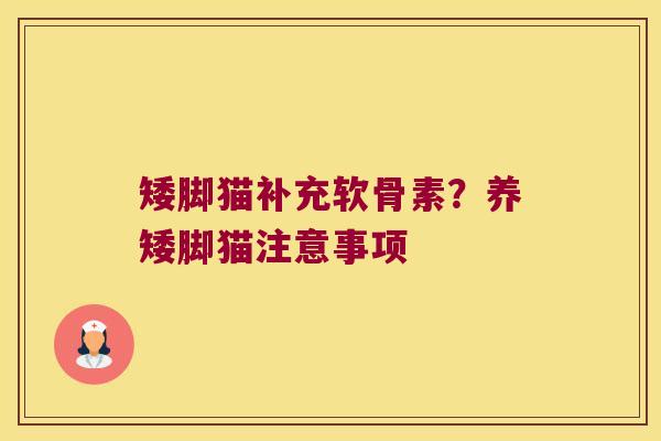 矮脚猫补充软骨素?养矮脚猫注意事项 矮脚猫补充软骨素?养矮脚猫注意事项
