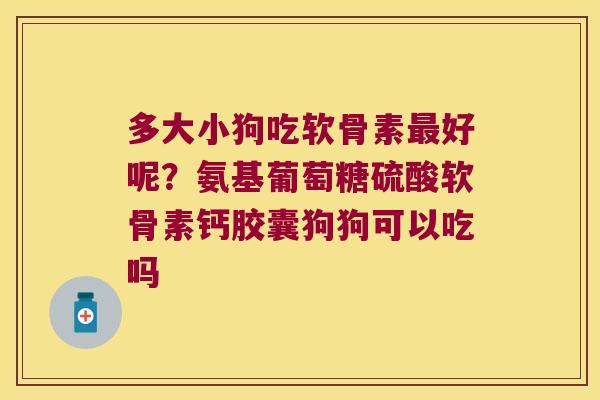 多大小狗吃软骨素最好呢？氨基葡萄糖硫酸软骨素钙胶囊狗狗可以吃吗