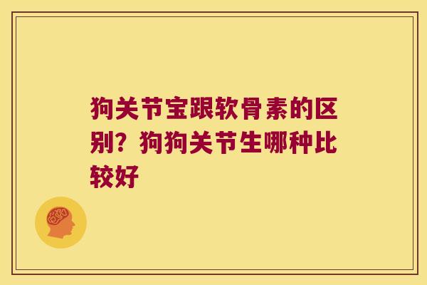 狗关节宝跟软骨素的区别?狗狗关节生哪种比较好