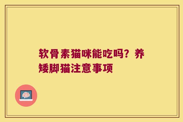 软骨素猫咪能吃吗?养矮脚猫注意事项