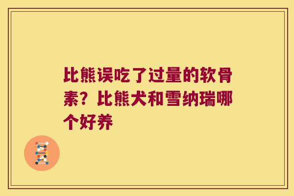 比熊误吃了过量的软骨素?比熊犬和雪纳瑞哪个好养