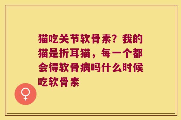 猫吃关节软骨素?我的猫是折耳猫,每一个都会得软骨病吗什么时候吃软骨素