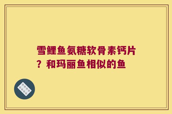 雪鲤鱼氨糖软骨素钙片?和玛丽鱼相似的鱼