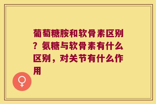 葡萄糖胺和软骨素区别?氨糖与软骨素有什么区别,对关节有什么作用