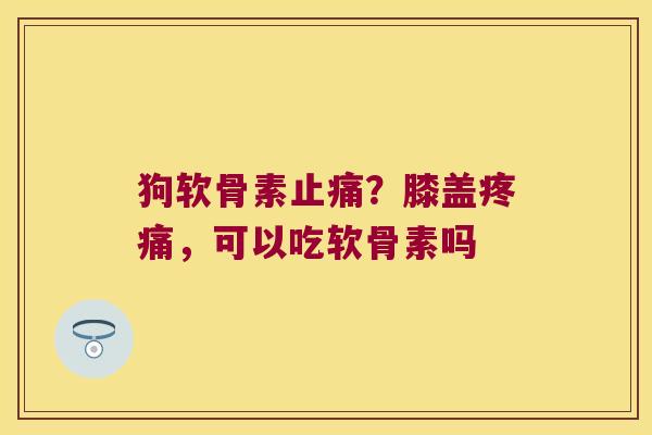 狗软骨素止痛?膝盖疼痛,可以吃软骨素吗