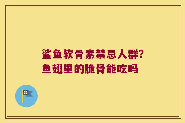 鲨鱼软骨素禁忌人群?鱼翅里的脆骨能吃吗
