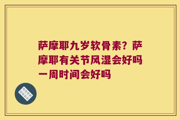 萨摩耶九岁软骨素?萨摩耶有关节风湿会好吗一周时间会好吗