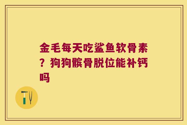 金毛每天吃鲨鱼软骨素?狗狗髌骨脱位能补钙吗