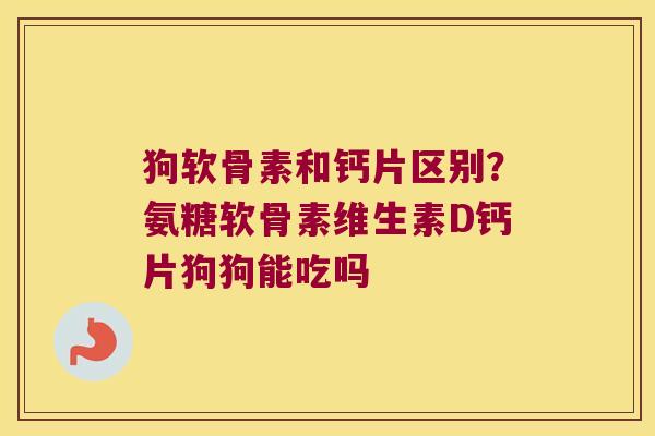 狗软骨素和钙片区别？氨糖软骨素维生素D钙片狗狗能吃吗