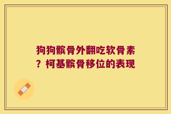 狗狗髌骨外翻吃软骨素?柯基髌骨移位的表现