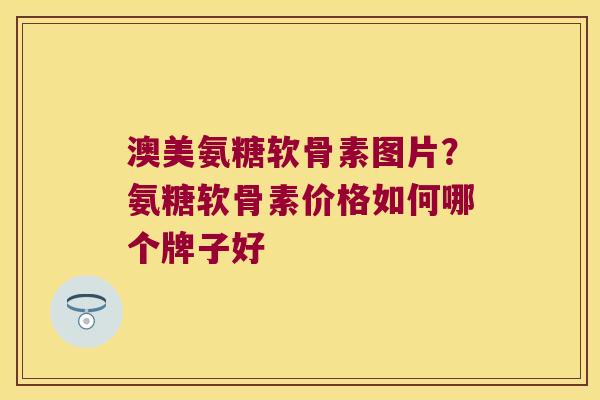 澳美氨糖软骨素图片?氨糖软骨素价格如何哪个牌子好