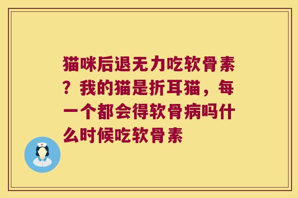 猫咪后退无力吃软骨素?我的猫是折耳猫,每一个都会得软骨病吗什么时候吃软骨素