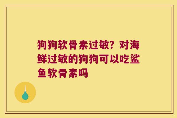 狗狗软骨素过敏?对海鲜过敏的狗狗可以吃鲨鱼软骨素吗