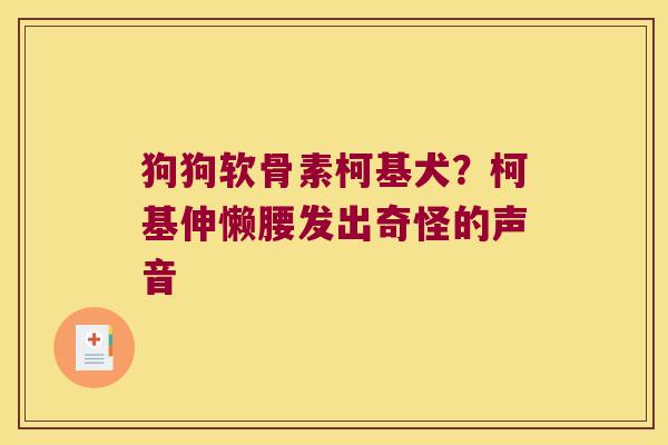 狗狗软骨素柯基犬?柯基伸懒腰发出奇怪的声音