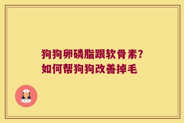狗狗卵磷脂跟软骨素?如何帮狗狗改善掉毛