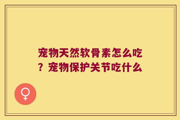 宠物天然软骨素怎么吃?宠物保护关节吃什么