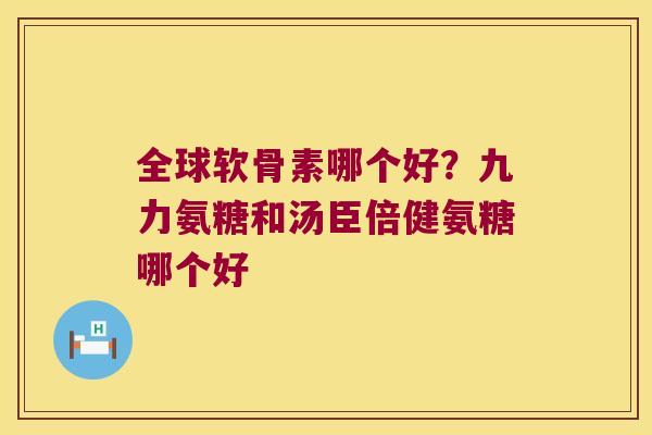 全球软骨素哪个好?九力氨糖和汤臣倍健氨糖哪个好