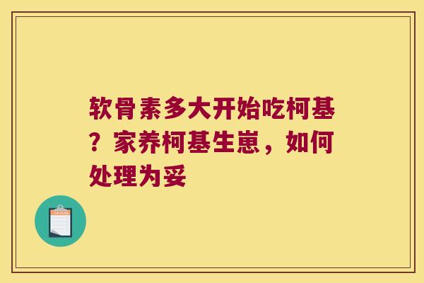软骨素多大开始吃柯基？家养柯基生崽，如何处理为妥