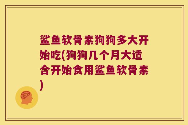 鲨鱼软骨素狗狗多大开始吃(狗狗几个月大适合开始食用鲨鱼软骨素) 鲨鱼软骨素狗狗多大开始吃(狗狗几个月大适合开始食用鲨鱼软骨素)