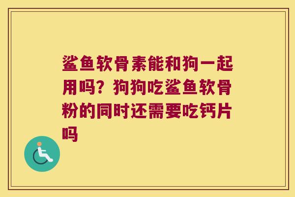 鲨鱼软骨素能和狗一起用吗?狗狗吃鲨鱼软骨粉的同时还需要吃钙片吗 鲨鱼软骨素能和狗一起用吗?狗狗吃鲨鱼软骨粉的同时还需要吃钙片吗
