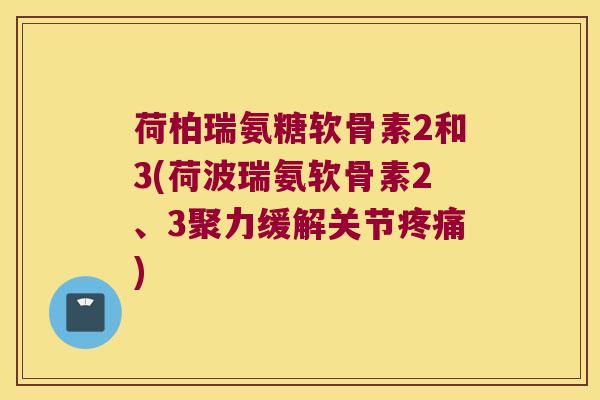 荷柏瑞氨糖软骨素2和3(荷波瑞氨软骨素2、3聚力缓解关节)