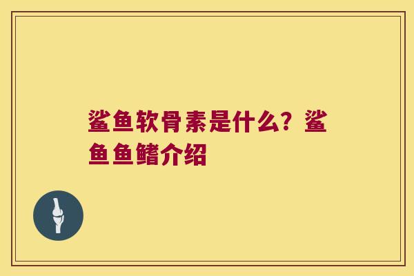 鲨鱼软骨素是什么？鲨鱼鱼鳍介绍