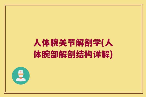 人体腕关节解剖学(人体腕部解剖结构详解)
