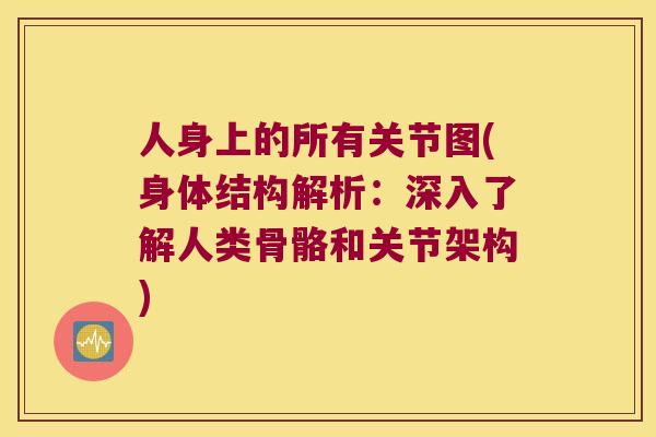 人身上的所有关节图(身体结构解析：深入了解人类骨骼和关节架构)