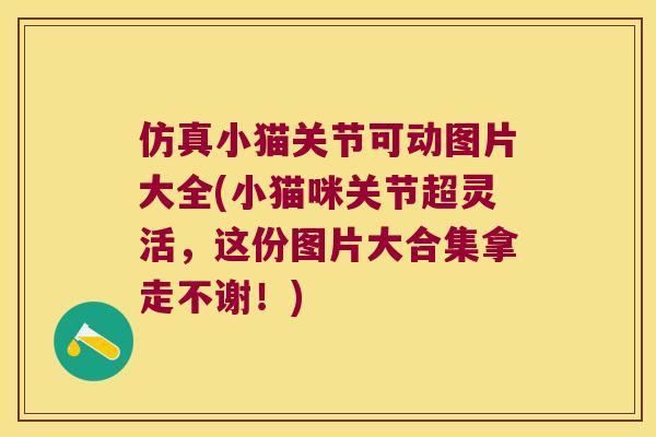 仿真小猫关节可动图片大全(小猫咪关节超灵活，这份图片大合集拿走不谢！)