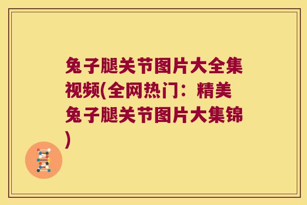 兔子腿关节图片大全集视频(全网热门:精美兔子腿关节图片大集锦) 兔子腿关节图片大全集视频(全网热门:精美兔子腿关节图片大集锦)