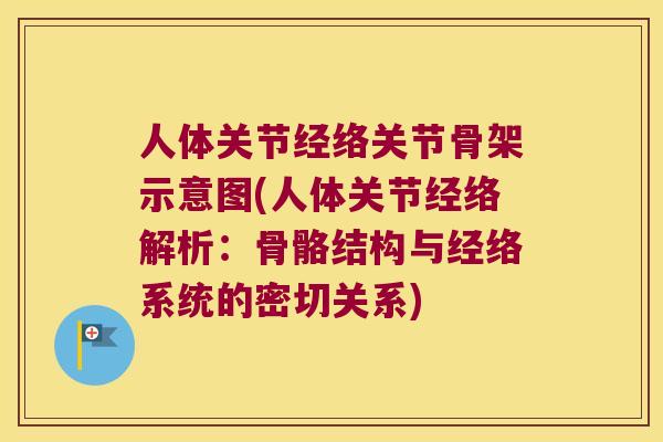 人体关节经络关节骨架示意图(人体关节经络解析：骨骼结构与经络系统的密切关系)