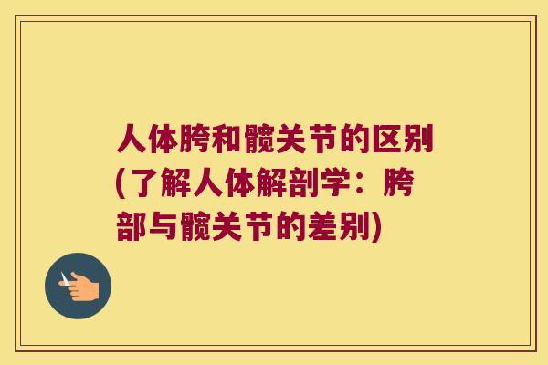 人体胯和髋关节的区别(了解人体解剖学:胯部与髋关节的差别) 人体胯和髋关节的区别(了解人体解剖学:胯部与髋关节的差别)