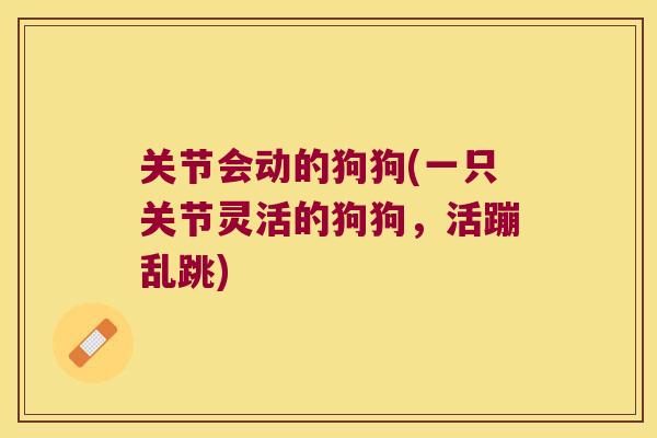 关节会动的狗狗(一只关节灵活的狗狗,活蹦乱跳) 关节会动的狗狗(一只关节灵活的狗狗,活蹦乱跳)