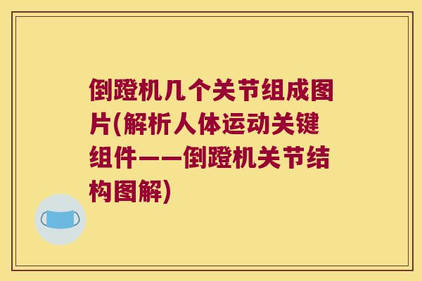 倒蹬机几个关节组成图片(解析人体运动关键组件——倒蹬机关节结构图解) 倒蹬机几个关节组成图片(解析人体运动关键组件——倒蹬机关节结构图解)